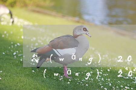 欠網(wǎng)貸20萬怎么辦啊(欠各種網(wǎng)貸20萬怎么辦)