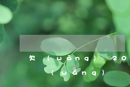 欠網(wǎng)貸20萬無力償還(欠20萬網(wǎng)貸無力償還會(huì)怎么樣)