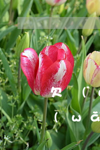 欠網(wǎng)貸20萬算多嗎(欠各種網(wǎng)貸20萬怎么辦)