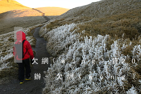欠網(wǎng)貸20萬老婆不知道怎么辦-欠網(wǎng)貸20萬老婆不知道怎么辦呢