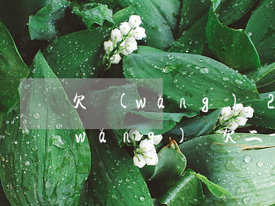 欠網(wǎng)貸20萬要坐幾年牢(網(wǎng)貸欠二十萬要坐幾年牢)