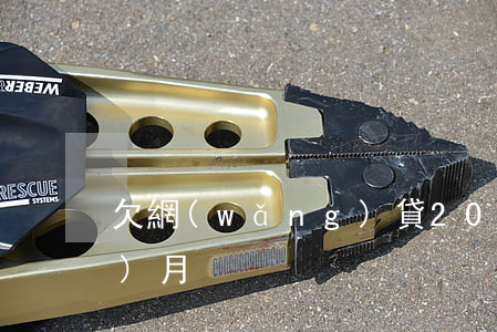 欠網(wǎng)貸20萬逾期一個(gè)月