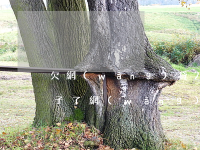 欠網(wǎng)貸20萬還不上只有賣房子了(網(wǎng)貸20萬還不起了)