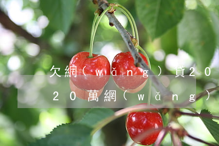 欠網(wǎng)貸20萬還不起的后果(欠20萬網(wǎng)貸無力償還會怎么樣)