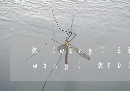 欠網(wǎng)貸23000怎么還(網(wǎng)貸欠5000)