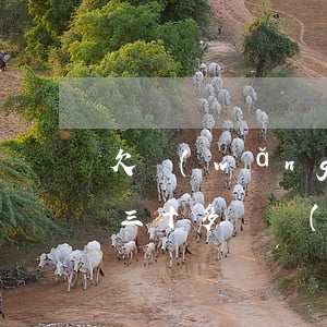 欠網(wǎng)貸23萬怎么能解決(欠了三十多萬網(wǎng)貸怎么辦)