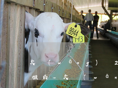 欠網(wǎng)貸23萬我該怎么向父母坦白-欠網(wǎng)貸23萬我該怎么向父母坦白呢