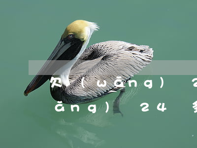 欠網(wǎng)貸24萬多不多(欠網(wǎng)貸24萬多不多)