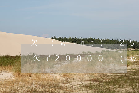 欠網(wǎng)貸25000怎么坦白(我欠了20000網(wǎng)貸怎么辦)