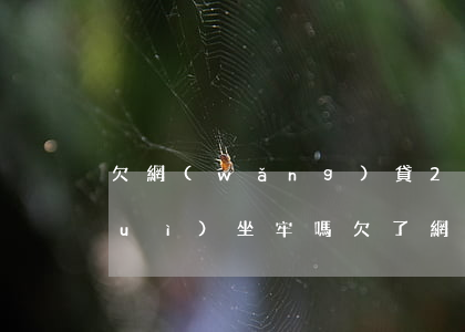 欠網(wǎng)貸2500還不上會(huì)坐牢嗎(欠了網(wǎng)貸3000還不上怎么辦會(huì)坐牢嗎)
