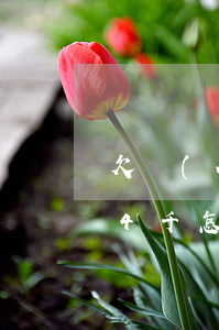 欠網(wǎng)貸25萬(wàn)工資4千怎么辦(欠網(wǎng)貸十萬(wàn)工資每月四千)