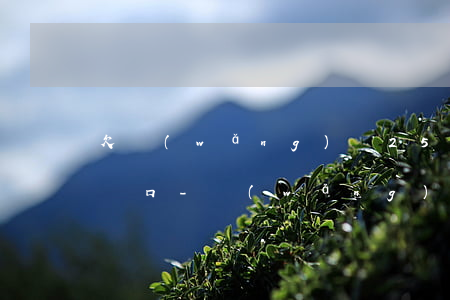 欠網(wǎng)貸25萬跟老公坦白怎么開口-網(wǎng)貸欠了20萬跟老公坦白