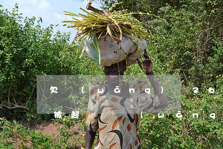 欠網(wǎng)貸2600會(huì)被起訴嗎(網(wǎng)貸欠20000會(huì)起訴嗎)