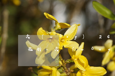 欠網(wǎng)貸2650元被依法判處死刑-欠網(wǎng)貸2650元被依法判處死刑案例