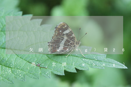 欠網(wǎng)貸26萬可以申請公積金嗎-欠網(wǎng)貸26萬可以申請公積金嗎