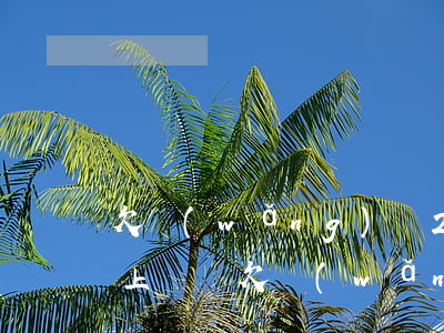 欠網(wǎng)貸2800會(huì)上門嗎(欠網(wǎng)貸一千多會(huì)上門嗎)
