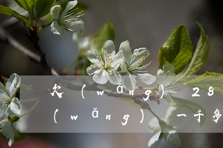 欠網(wǎng)貸2800會上門嗎(欠網(wǎng)貸一千多會上門嗎)
