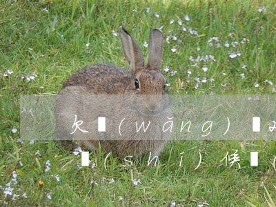 欠網(wǎng)貸28萬(wàn)什么時(shí)候會(huì)被立案-欠網(wǎng)貸28萬(wàn)還不上怎么辦