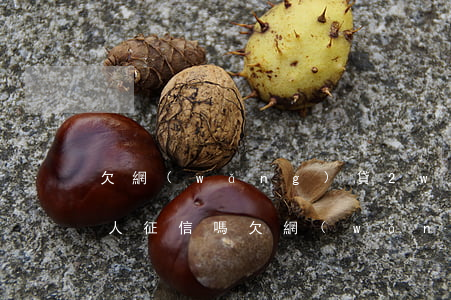 欠網(wǎng)貸2w會(huì)查法人征信嗎(欠網(wǎng)貸2w會(huì)查法人征信嗎)