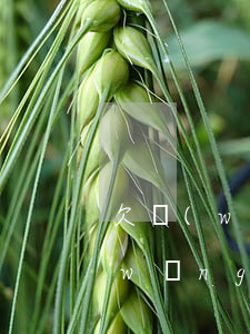 欠網(wǎng)貸2千不還會怎樣(欠網(wǎng)貸2千不還會怎樣)