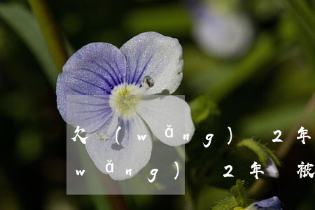 欠網(wǎng)貸2年會被起訴嗎 欠網(wǎng)貸2年會被起訴嗎知乎