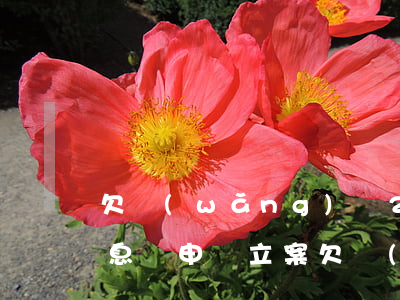 欠網(wǎng)貸2年未還發(fā)信息說申請立案(欠網(wǎng)貸發(fā)信息說立案,申請拘捕)