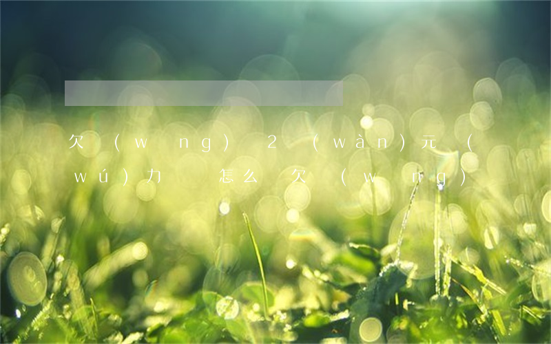 欠網(wǎng)貸2萬(wàn)元無(wú)力償還怎么辦(欠網(wǎng)貸幾萬(wàn)無(wú)力償還)