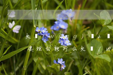 欠網(wǎng)貸2萬(wàn)想和老婆坦白能行么(欠網(wǎng)貸怎么跟老婆坦白)