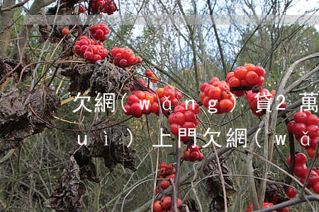 欠網(wǎng)貸2萬(wàn)會(huì)上門(欠網(wǎng)貸一萬(wàn)多會(huì)上門嗎?)