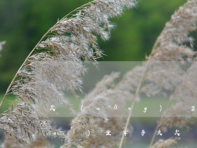 欠網(wǎng)貸2萬(wàn)會(huì)坐牢多久(欠網(wǎng)貸兩萬(wàn)會(huì)坐牢嗎)