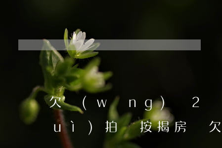 欠網(wǎng)貸2萬(wàn)會(huì)拍賣按揭房嗎(欠網(wǎng)貸會(huì)被拍賣按揭房嗎)