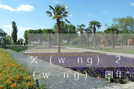 欠網(wǎng)貸2萬4千四年不還(欠網(wǎng)貸四年沒還)