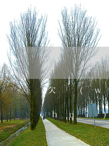 欠網(wǎng)貸2萬去派出所自首會(huì)怎么樣-欠網(wǎng)貸2萬去派出所自首會(huì)怎么樣處理