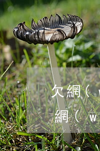 欠網(wǎng)貸2萬怎么向家里坦白(欠網(wǎng)貸怎么跟家里人坦白)