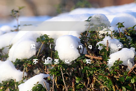 欠網(wǎng)貸2萬暫時(shí)還不上怎么辦(欠兩千網(wǎng)貸沒還怎么辦)