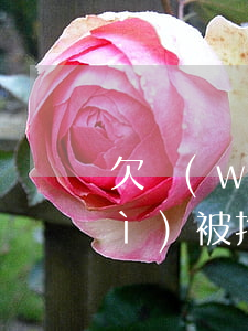 欠網(wǎng)貸2萬無力償還會(huì)被拘留嗎(欠網(wǎng)貸兩萬會(huì)坐牢嗎)