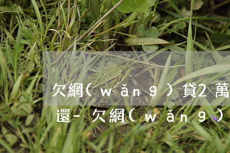 欠網(wǎng)貸2萬逾期3年一直沒錢還-欠網(wǎng)貸2萬逾期3年一直沒錢還怎么辦