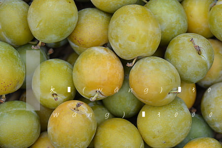 欠網(wǎng)貸30000不還(欠網(wǎng)貸30000還不上怎么辦)