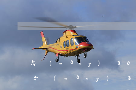 欠網(wǎng)貸3000一年利息要多少(網(wǎng)貸3000一個(gè)月多少利息)