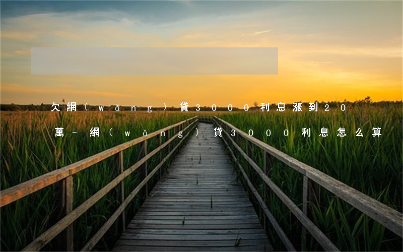 欠網(wǎng)貸3000利息漲到20萬-網(wǎng)貸3000利息怎么算