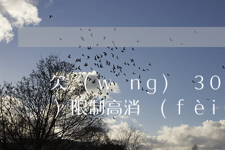 欠網(wǎng)貸3000塊會(huì)限制高消費(fèi)嗎-欠網(wǎng)貸3000塊會(huì)限制高消費(fèi)嗎知乎