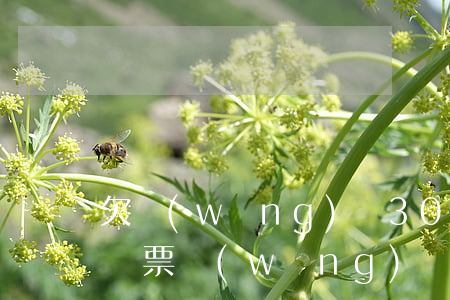 欠網(wǎng)貸3000塊錢收到法院傳票(網(wǎng)貸欠了3000塊錢要起訴我)