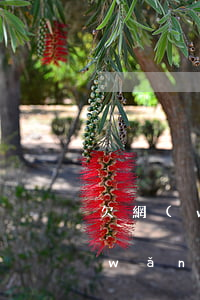 欠網(wǎng)貸3000會坐牢(欠網(wǎng)貸幾千塊錢會坐牢嗎)