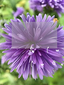 欠網(wǎng)貸30個后果(欠10個網(wǎng)貸30萬逾期)