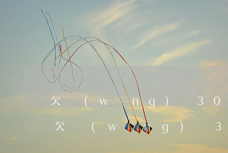 欠網(wǎng)貸30多萬(wàn)-欠網(wǎng)貸30多萬(wàn)實(shí)在還不起了,不還會(huì)怎樣,要坐牢嗎?