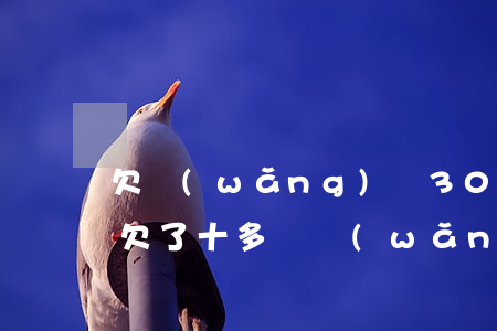 欠網(wǎng)貸30多萬沒錢還怎么辦(欠了十多萬網(wǎng)貸沒錢還怎么辦)