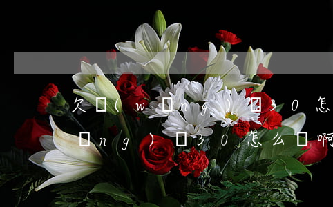 欠網(wǎng)貸30怎么還啊(欠網(wǎng)貸30怎么還啊)