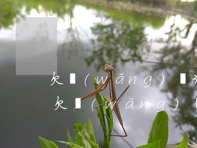 欠網(wǎng)貸30萬人死會找父母么(欠網(wǎng)貸30萬人死會找父母么)