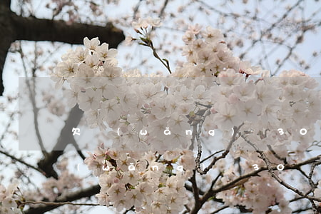 欠網(wǎng)貸30萬會判幾年呢（欠網(wǎng)貸30萬會判幾年）