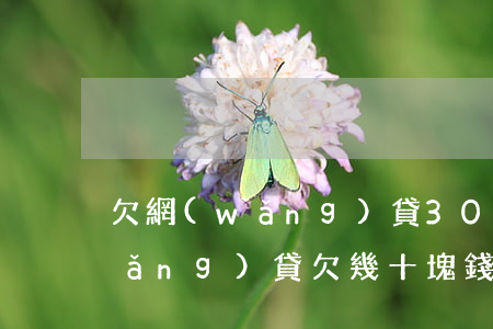 欠網(wǎng)貸30萬會起訴嗎(網(wǎng)貸欠幾十塊錢會被起訴嗎)